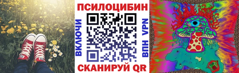 Галлюциногенные грибы Cubensis  даркнет формула  Михайлов 